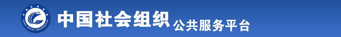 日骚逼视频全国社会组织信息查询